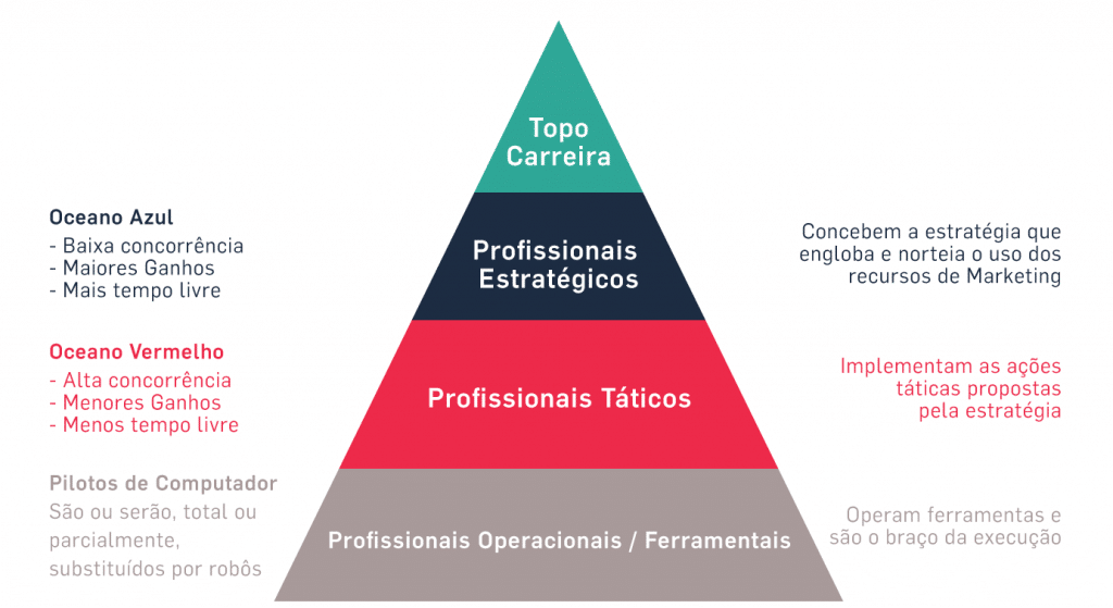 Modelos dos Segmentos de Atuação de Consultores (Nino Carvalho e Leonardo Schweitzer, 2019)